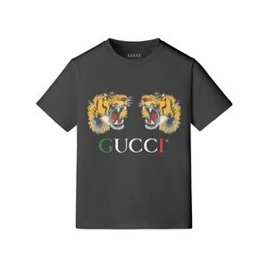 The Lions Shirt